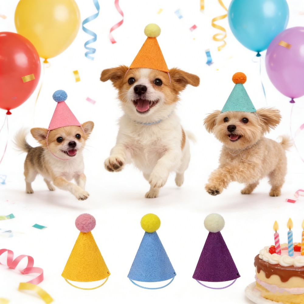 3/6 Stück Haustier-Partyhüte B – Party Hat Cone Bewertung und Preis